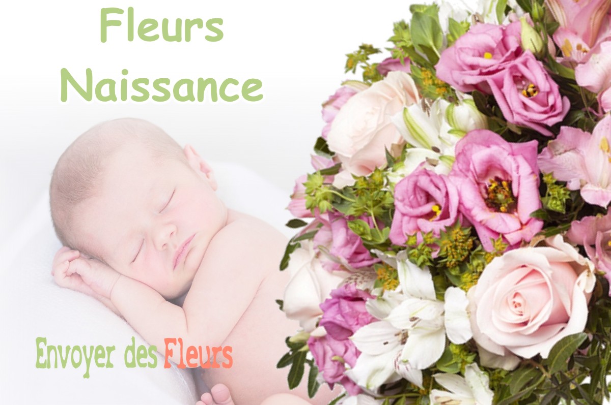 lIVRAISON FLEURS NAISSANCE à SAINT-PRIVAT-DU-DRAGON